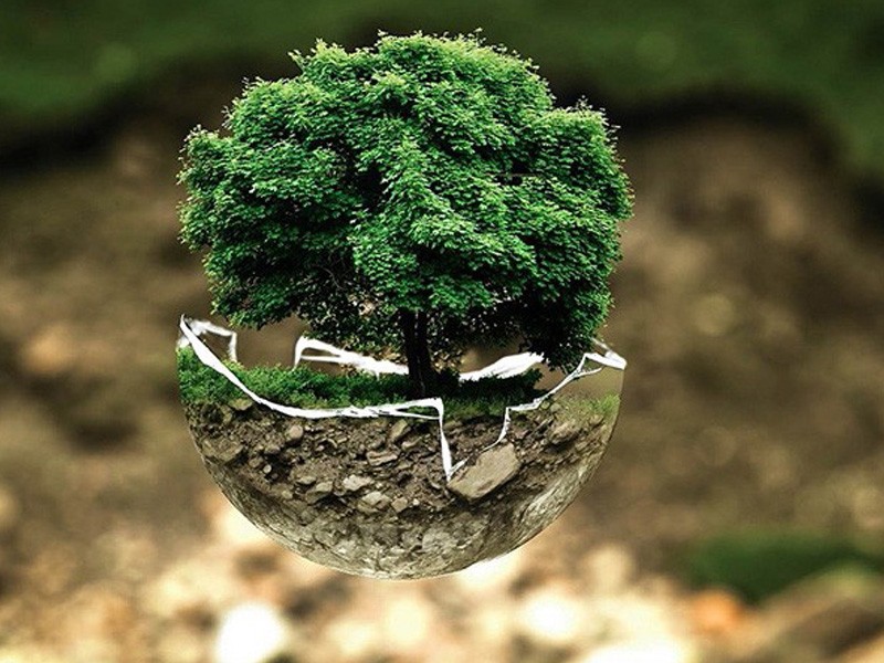 Sustainable development strategy